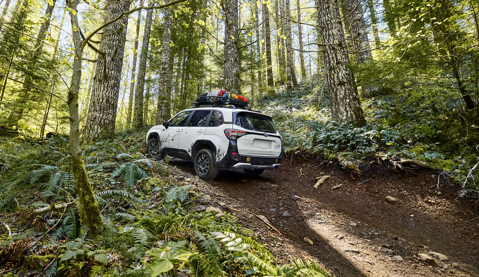 Rear view of the 2026 Subaru Forester Wilderness climbing an uphill wooded trail.