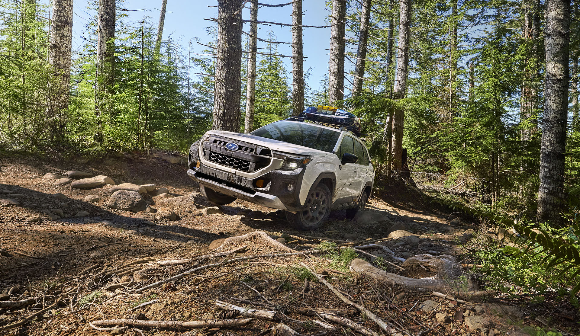 2026 Subaru Forester Wilderness moving along a wooded trail.